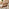 Belize Beige Rattan 2 Seat Garden Bistro Set
