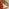 Belize Beige Rattan 2 Seat Garden Bistro Set