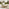 2x Brisa Natural Wood and Cream Garden Chairs Set