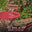 Cabo Berry Red Metal 2 Seat Garden Bistro Set