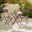 Cabo Berry Red Metal 2 Seat Garden Bistro Set