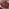 Cabo Berry Red Metal 2 Seat Garden Bistro Set