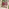 Cabo Berry Red Metal 2 Seat Garden Bistro Set