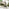 Cantilever Cream Square Garden Parasol & Base Set