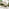 Cantilever Cream Square Garden Parasol & Base Set