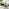 Cantilever Cream Square Garden Parasol Only (No Base)