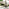 Cantilever Green Square Garden Parasol Only (No Base)