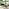 Cantilever Green Square Garden Parasol & Base Set