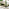 Cantilever Green Square Garden Parasol & Base Set