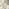 Cabo Green Metal 2 Seat Garden Bistro Set