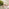 Cabo Pink Metal 2 Seat Garden Bistro Set