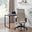 Centro Cappuccino Beige Velvet Swivel Office Chair