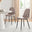 2x Corona Cappuccino Beige Faux Leather Dining Chairs Black Legs