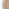 Damaris Wood Full Length 150x50cm Wavy Rectangle Wall Mirror