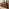 Delphine Walnut Burl Wood Effect 6 Drawer Chest of Drawers