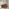 Delphine Walnut Burl Wood Effect 6 Drawer Chest of Drawers