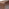 Delphine Walnut Burl Wood Effect 6 Drawer Chest of Drawers