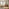 Delphine Walnut Burl Wood Effect 6 Drawer Chest of Drawers