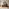 Delphine Walnut Burl Wood Effect 3 Door Sideboard