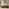 Delphine Walnut Burl Wood Effect 3 Door Storage TV Stand