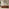 Delphine Walnut Burl Wood Effect 3 Door Storage TV Stand