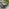 Dubai Grey Polywood 8 Seat Garden Dining Set