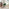 Delaney Green Fabric Swivel Office Chair