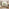 Echo Cream & Green Trim Linen-Look Fabric 3 Seater Modular Chaise Sofa