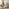 Eden Rectangular Whitewash & Light Grey Wood Console Table
