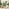 Beige Rattan & Green Garden Double Egg Chair Seat