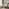 Beige Indoor / Outdoor Rattan Double Egg Chair Seat