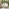 Beige Rattan & Cream Garden Double Egg Chair Seat
