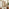 Finley Walnut Wood Medium Rectangle 90x50cm Wall Mirror