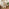 Finley Walnut Wood Medium Rectangle 90x50cm Wall Mirror
