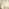 Flora Gold Medium Round Flower Frame 80cm Garden Mirror