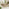 Hamburg & Asa Wood & Wicker 4 Seat Garden Dining Set