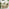 Hamburg  Wood 4 Seat Garden Dining Set