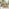 Hamburg  Wood 4 Seat Garden Dining Set