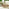 Hamburg & Asa 6 Seat Extending Table Garden Dining Set