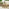 Hamburg & Asa Wood 8 Seat Extending Table Garden Dining Set