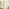 Harris Cream Large Arched Window 120x40cm Garden Mirror