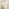 Harris Cream Large Arched Window 120x40cm Garden Mirror