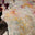 Haze Abstract Multicolour Rug 160x230