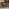 Hamburg  Wood 4 Seat Garden Dining Set