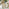 Tari & Hamburg Wood 4 Seat Round Table Garden Dining Set