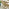 Hamburg  Wood 4 Seat Garden Dining Set