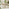 Hamburg & Asa Wood & Wicker 4 Seat Garden Dining Set