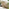 Hamburg & Asa Wood & Wicker 4 Seat Garden Dining Set