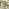 Hamburg Wood 8 Seat Extending Table Garden Dining Set