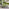 Hydra Black Metal & Green Garden Rocking Chair